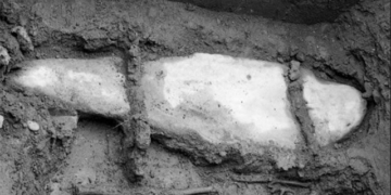 preserving the original egg in the coffin just 130803