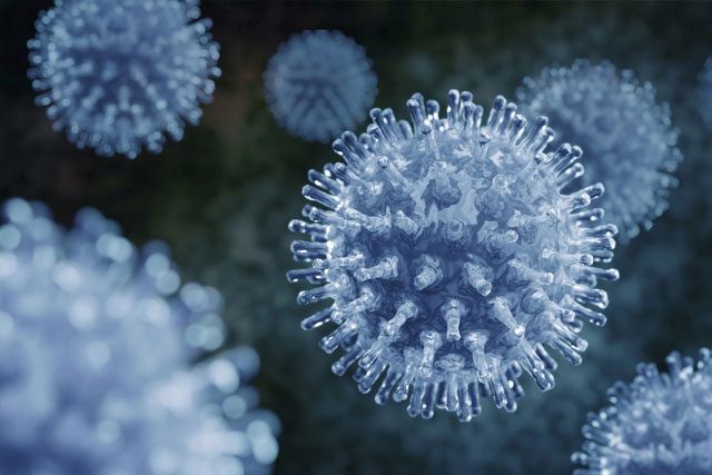 Prions may also be related to the emergence of certain cancers.