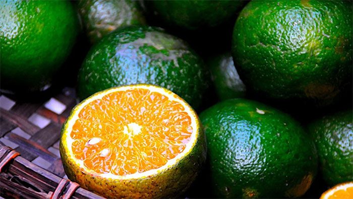 Orange