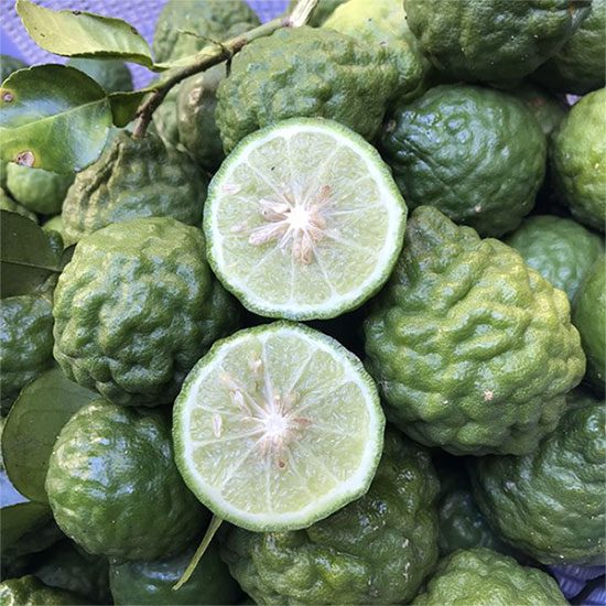 Kaffir lime can be used to treat those suffering from rheumatoid arthritis, arthritis, edema