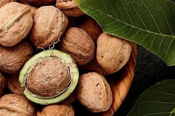 Walnuts are a great source of vitamin E