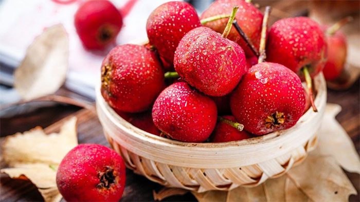 Hawthorn Berry