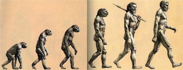 The evolution process