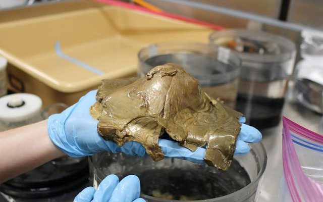 The mysterious object is yellow with a soft, thin outer layer like tissue