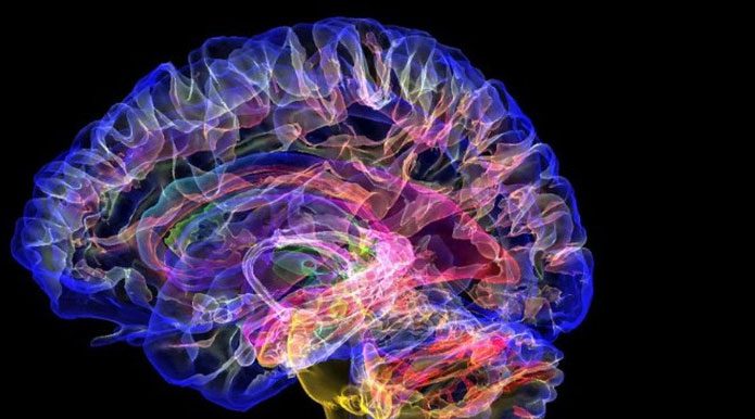 Color MRI scan of a healthy human brain.