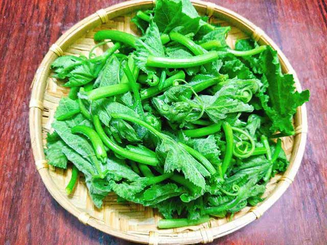 The fiber in pumpkin greens supports digestion and may prevent colorectal cancer.