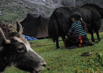 recording the peaceful life of the people of bhutan known as the happiest kingdom in the world 130768