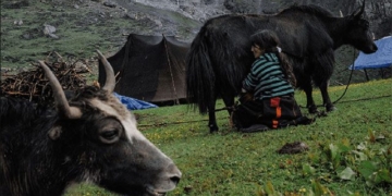 recording the peaceful life of the people of bhutan known as the happiest kingdom in the world 130768