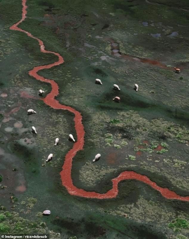 The river only has a red color for about 5 kilometers.