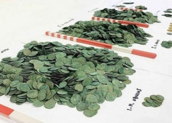 replanting the right way farmer unintentionally finds the biggest treasure 129909