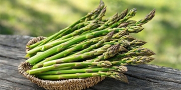 research many people live longer know 4 types vegetables are very beneficial for vietnamese health extend lifespan cheap fat 131156