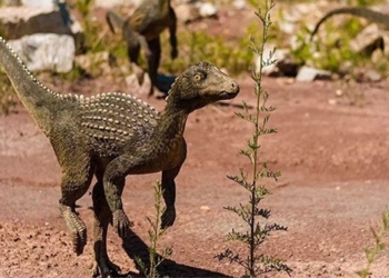 research new if reason causing dinosaurs died en masse 130260