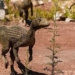 research new if reason causing dinosaurs died en masse 130260