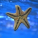 research new why the sea is completely without spirit 130859