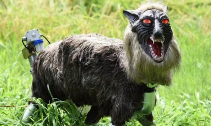 The wolf robot looks frightening.