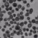 robot songs from human cells surprise for researchers 131335