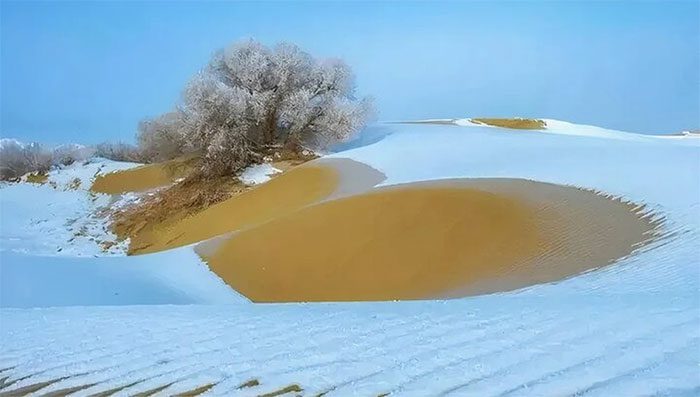 Annual average rainfall in the desert does not exceed 100mm