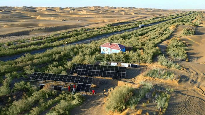 China has built a massive green belt along the highway
