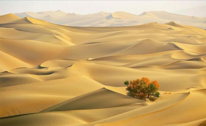 Taklamakan Desert, known in Chinese as 塔克拉玛干