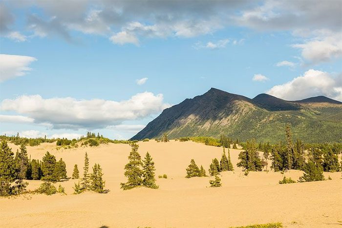 Carcross Desert.