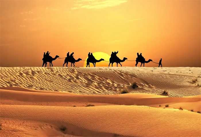 The Sahara Desert Was Once a Forest