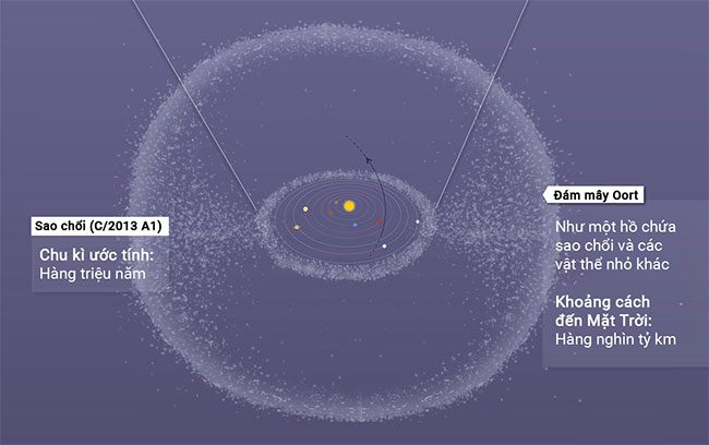 Exploring the structure of comets