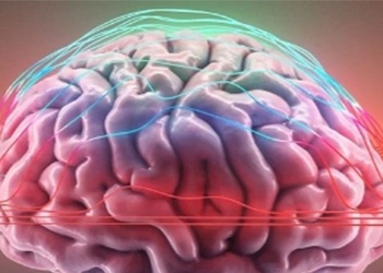 science finds signal in human brain 130637
