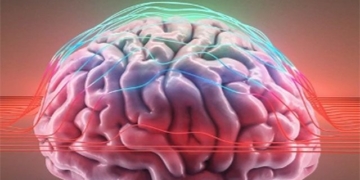 science finds signal in human brain 130637