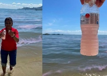 sea water in malaysia unexpectedly changes to pink 129486
