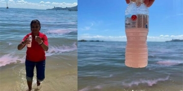 sea water in malaysia unexpectedly changes to pink 129486