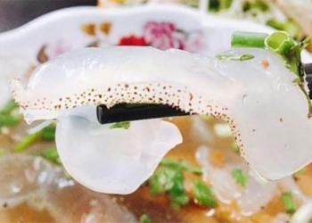 seafood types that help clean the arteries for the heart coastal vietnam has a lot of easy to buy 131145