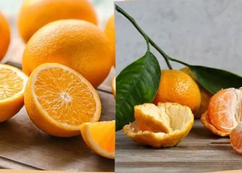 signs that show you are allergic to citrus fruits 131314