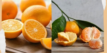 signs that show you are allergic to citrus fruits 131314