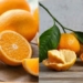 signs that show you are allergic to citrus fruits 131314