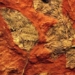 small planet sweeps away dinosaurs causing flowers to bloom 129902