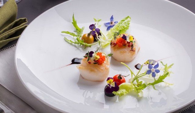 Dish with Scallops