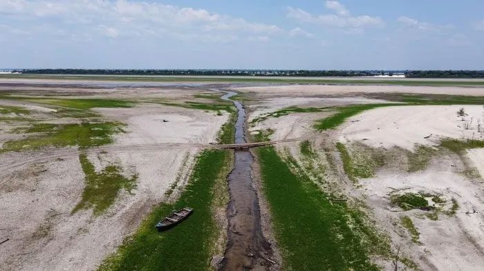 The Rio Negro River - a branch of the Amazon River - is drying up due to drought.