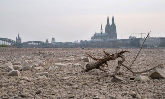 Drought hits the Rhine River near Cologne, Germany.