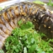 species fish cured like ginseng for the poor help liver 129990