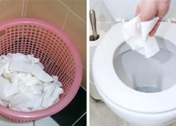strange things in bathrooms around the world 129707