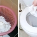 strange things in bathrooms around the world 129707