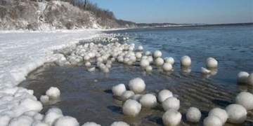 strange thousands of flowers falling into the sea 130754