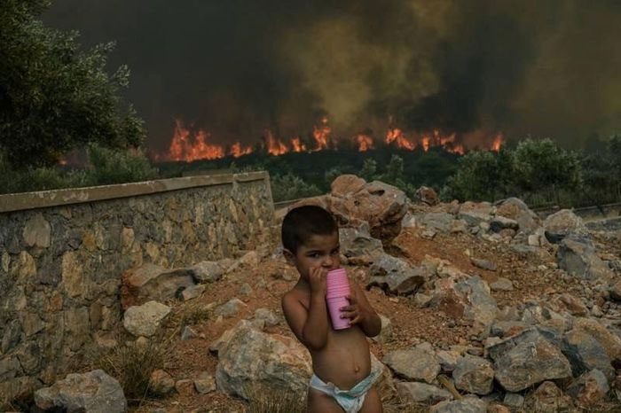 Europe experiences record temperatures amid relentless heatwaves