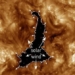 sun appears with light bulb 60 times the earth 131435