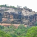 tall lion statue almost 200m in dense forest sri lanka 129270