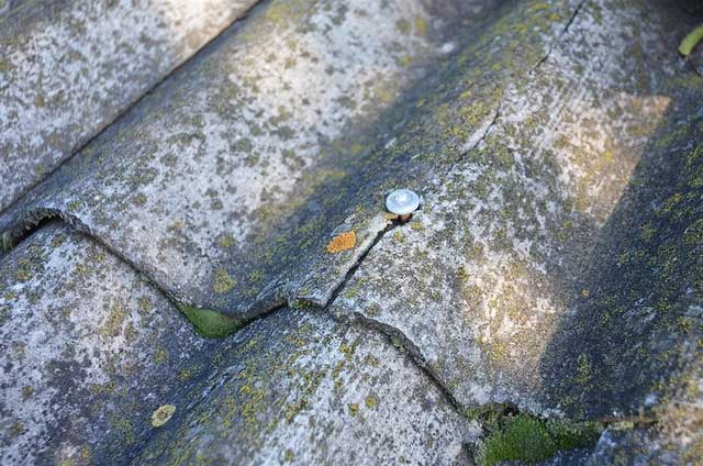 In developing countries and in Vietnam, white asbestos continues to be used.