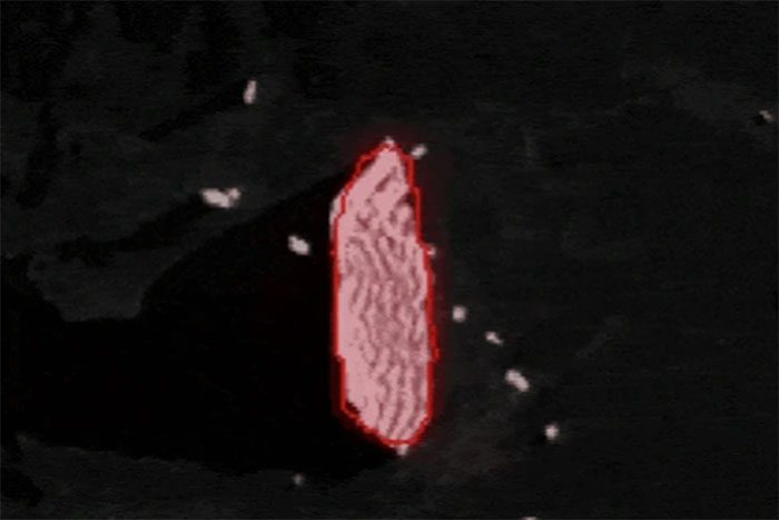 AI used by scientists to measure the size of large icebergs.