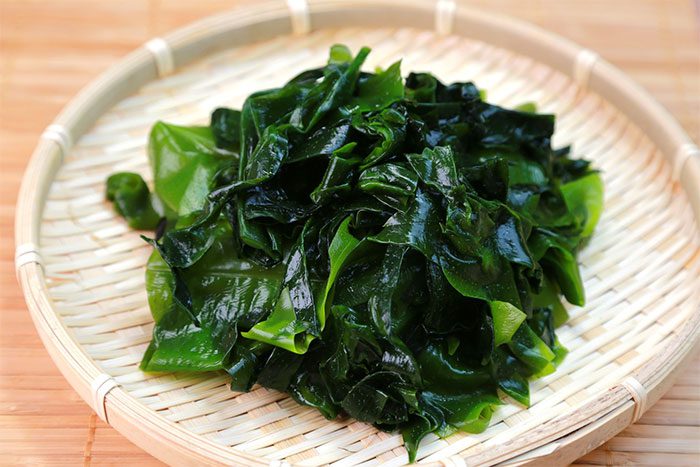 Kelp