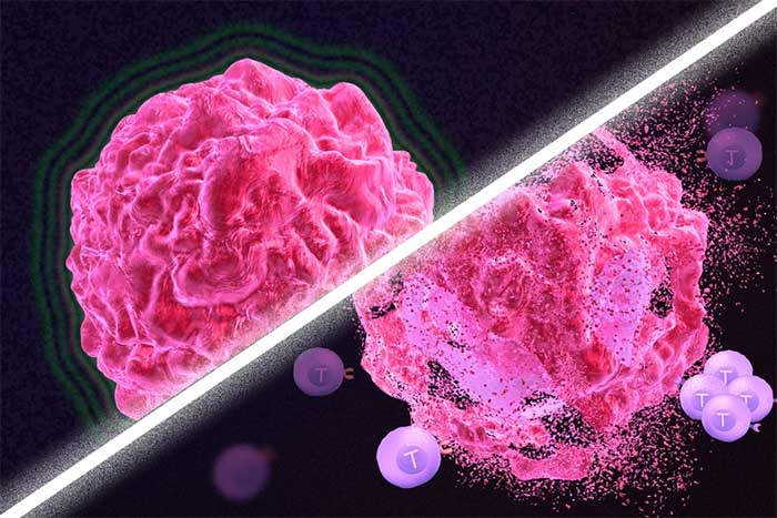 Injecting cancer cells cannot cause healthy individuals to develop cancer.