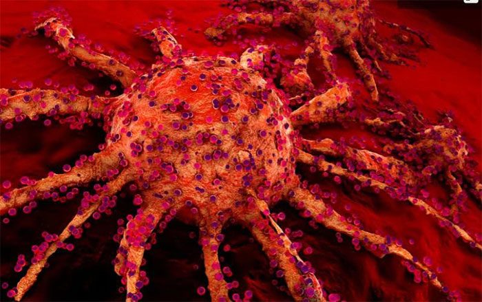 Antioxidants can stimulate blood vessel growth in cancer tumors